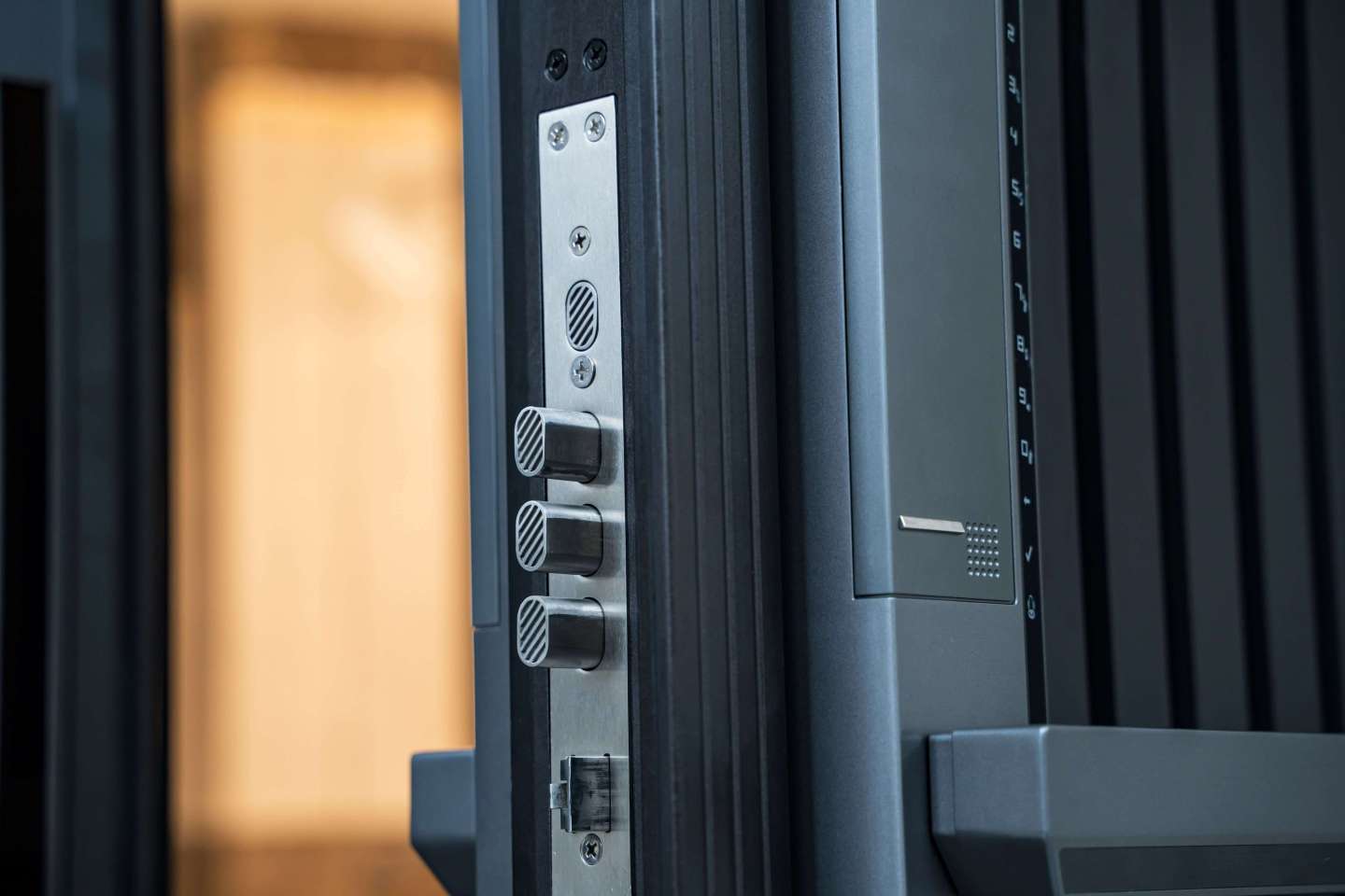 FINGER VEIN DOOR LOCK